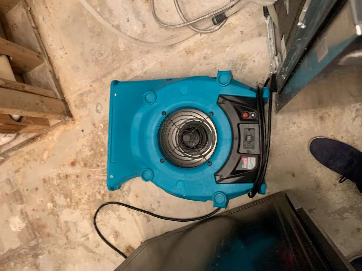Air mover drying equipment for Mold Remediation & Removal in Norwalk